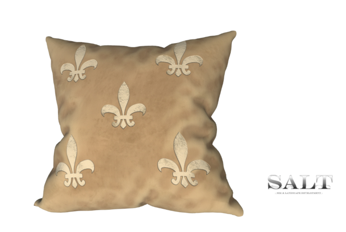 [SALT] - cushion french 
