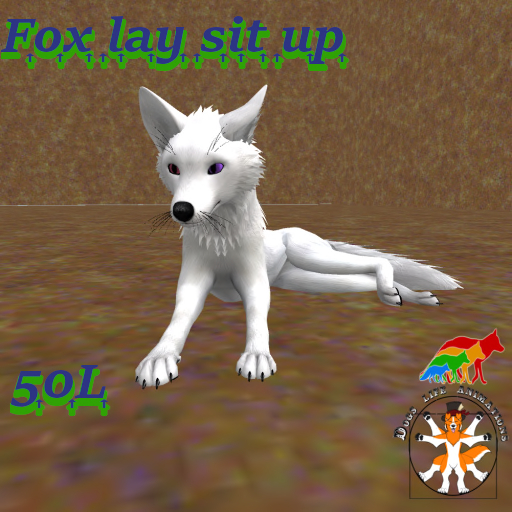 fox_lay_sit_up