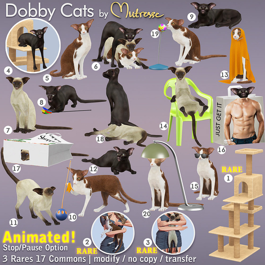 Mutresse - Dobby Cats - 3 (add) RARE