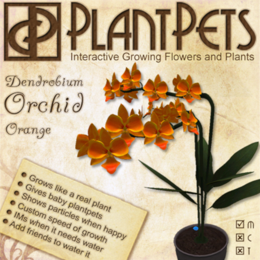 PlantPet Seed [Dendrobium Orchid *Orange*] Updated