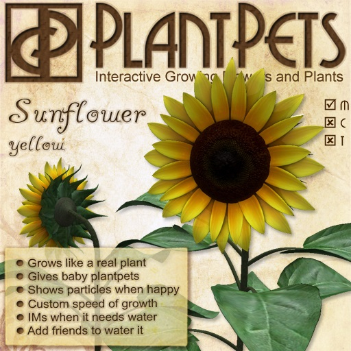 PlantPet Seed [Sunflower *Yellow*] Updated