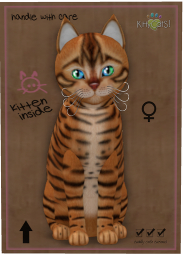 KittyCatS Box - Toyger - Caramel