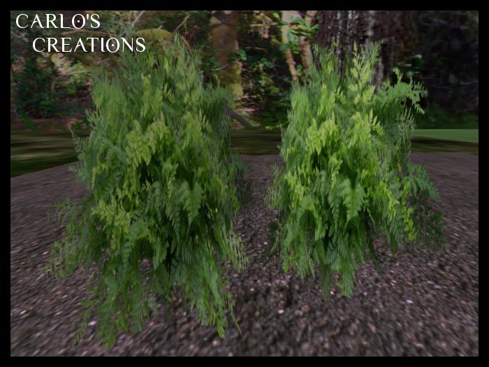 Rabbit's Foot Fern Regular & 1 Prim Versions