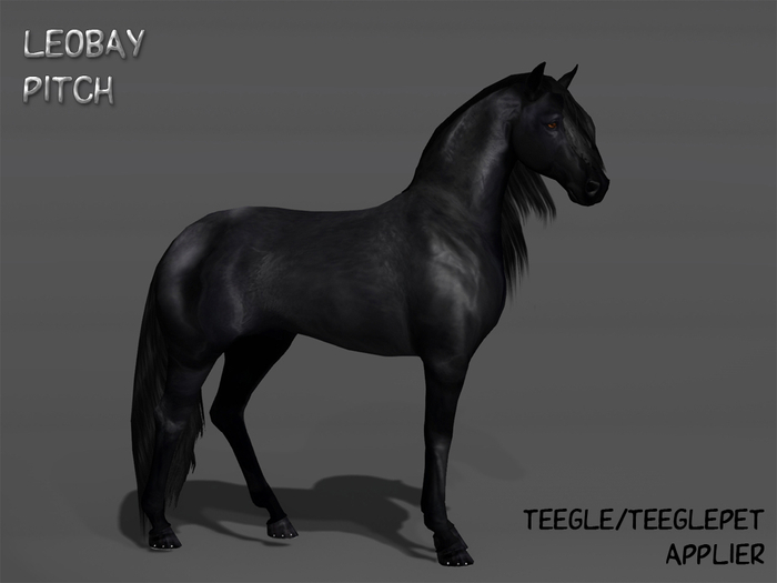 ME_Te Applier LeoBay Pitch