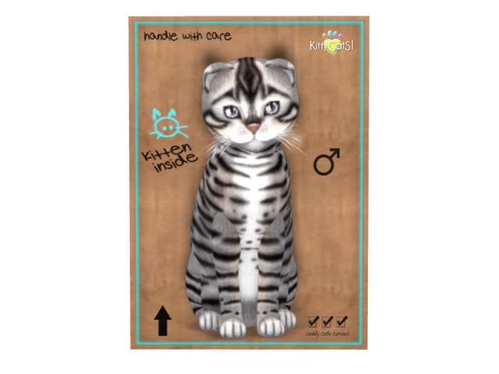 KittyCatS Box - 9 T - Toyger - Silver
