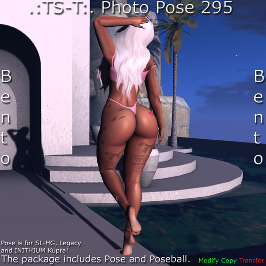 .:TS-T:. Photo Pose 295 Bento