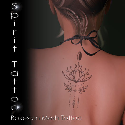 SPT-Lotus and moon