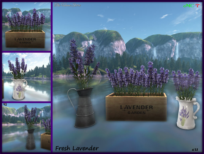 Lavender Planter
