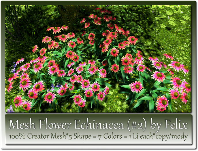 Mesh Flower Echinacea(#2)by Felix 5 Shape=7 Colors=1Li Each c-m