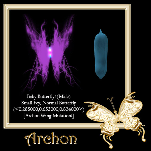 {Papillon} Ma/Sma/Nor/Fey/Butterfly/Archon Cocoon