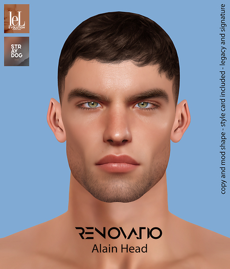 RENOVATIO Evo Kraig Shape