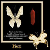 {Papillon} Ma/Sma/Nor/Fey/Butterfly/Bee Cocoon