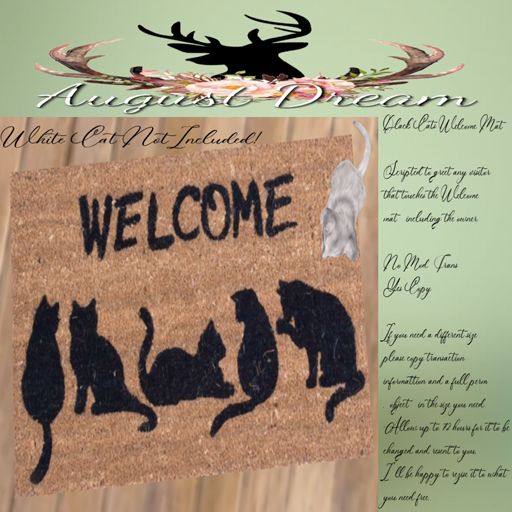 [AD] Welcome Black Cats Scripted To Welcome