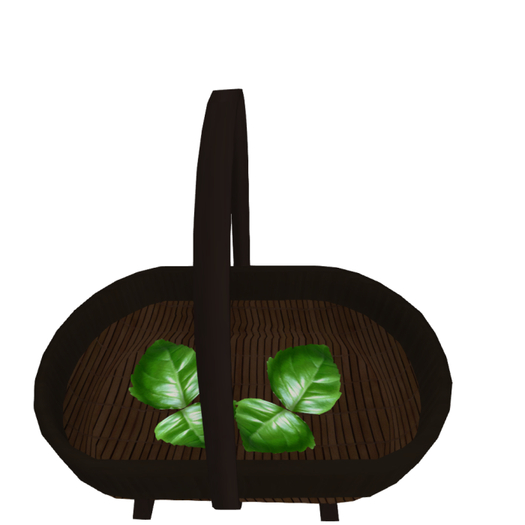 DFS Herb - Basil Basket