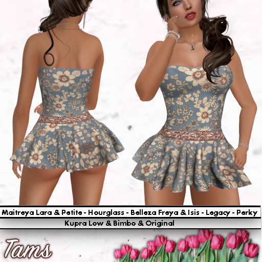 Dress - Delia