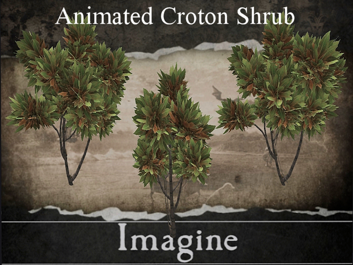 I: Animated Croton Shrub