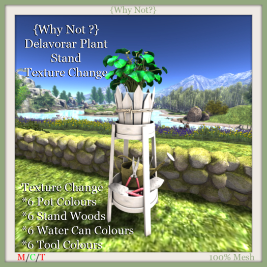{Why Not ?} Delavorar Plant Stand-Texture Change-Boxed