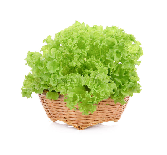 DFS Herb