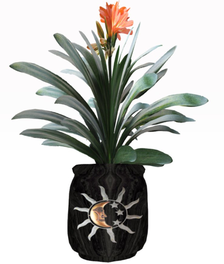 Orange Daylily in moon/sun Pot  MP