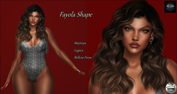 ::G.B-Fayola Shape-Catwa Catya::
