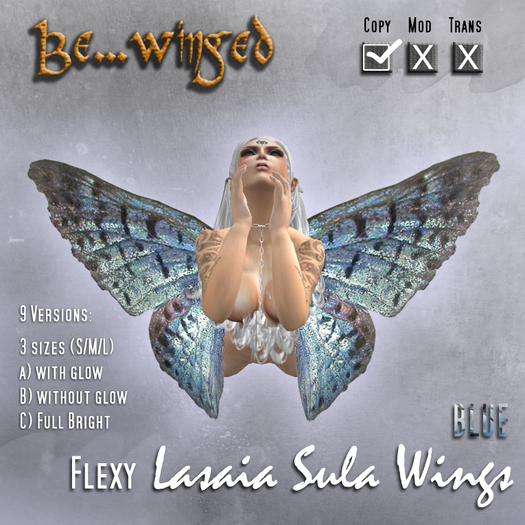 **BE...WINGED** Lasaia sula wings (silverblue)
