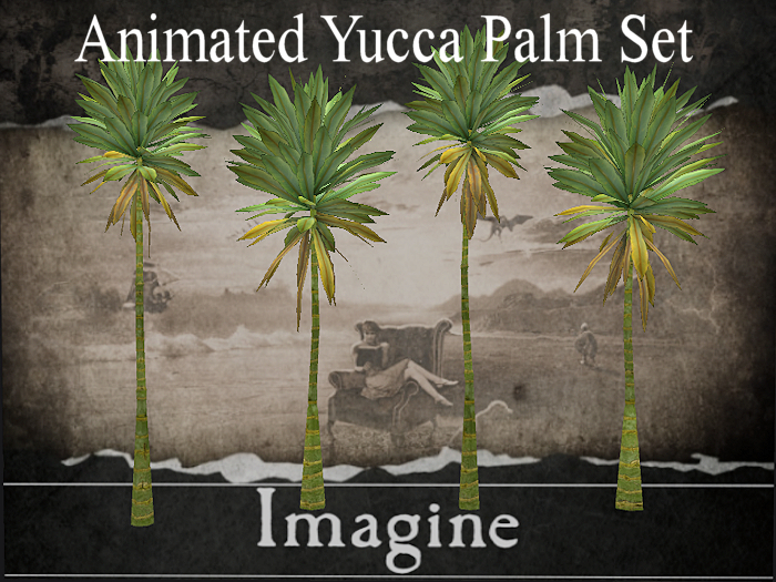 I: Animated Yucca Palm Set