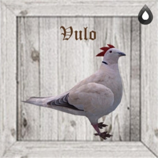 50x Chicken / Vulo