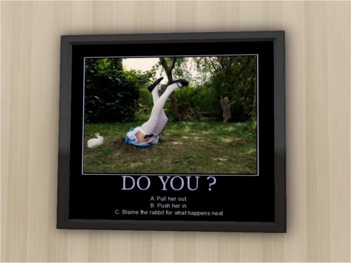 Framed Rabbit Hole Poster