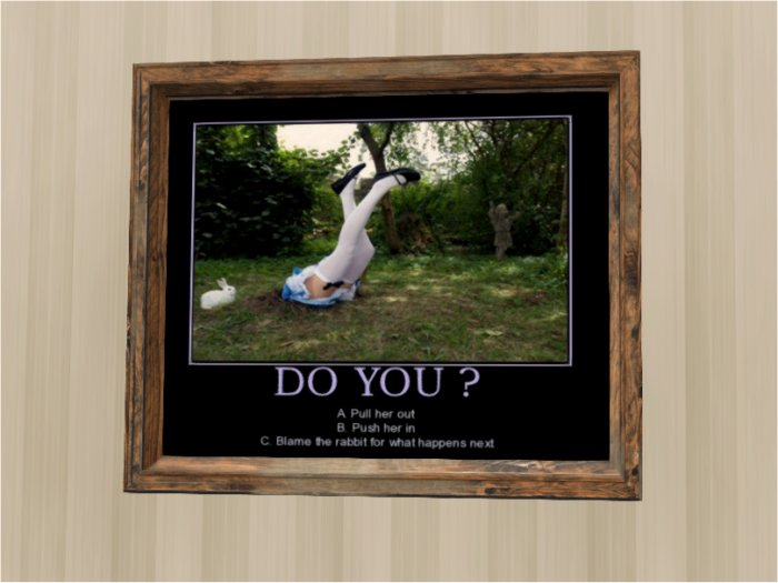 Wood Framed Rabbit Hole Poster