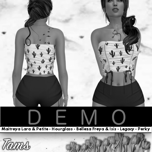 DEMO - Front Ruched Top and Shorts - Clair