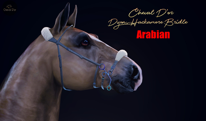 Cheval D'or / TeeglePet Arabian / Dyon Hackamore Bridle [HUD]