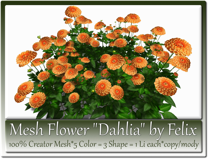 Mesh Flower Dahlia by Felix 5 Color=3 Shape=1 Li each c-m