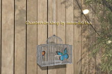 ~ASW~ The Spring Equinox Butterfly Cage