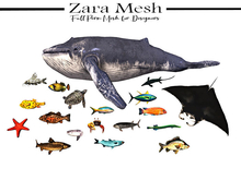 Zara Mesh - Animals - Fish Collection - FULL PERM MESH
