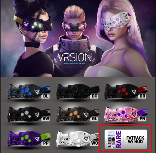 VRSION SLS22 Goggle *Full Set*