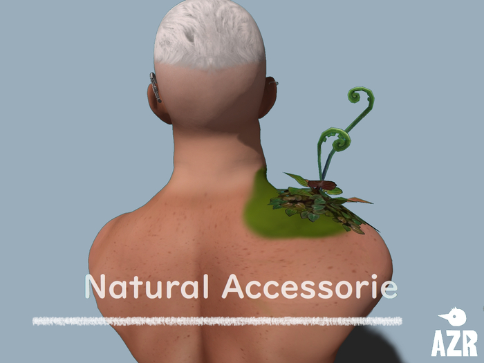 AZR_Natual Accessorie