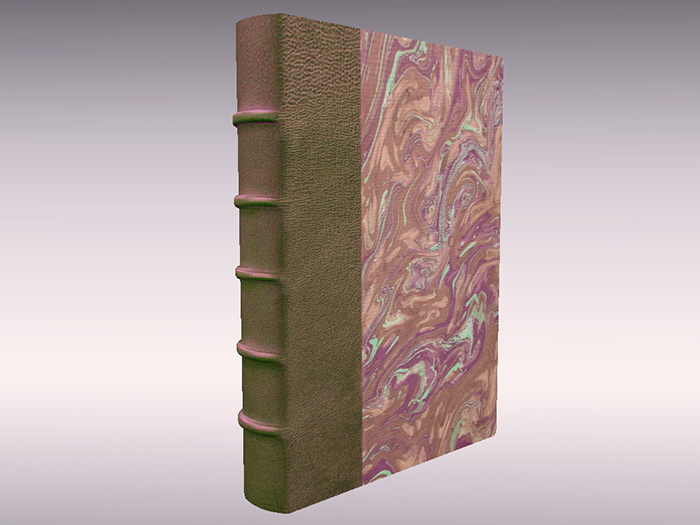 Livre Bouquin Roman Tome Décor Relié Cuir - 08 - Mesh Book