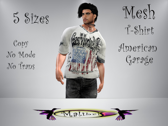 Mesh Box Mesh Jersey T-Shirt American Garage 5 Sizes *