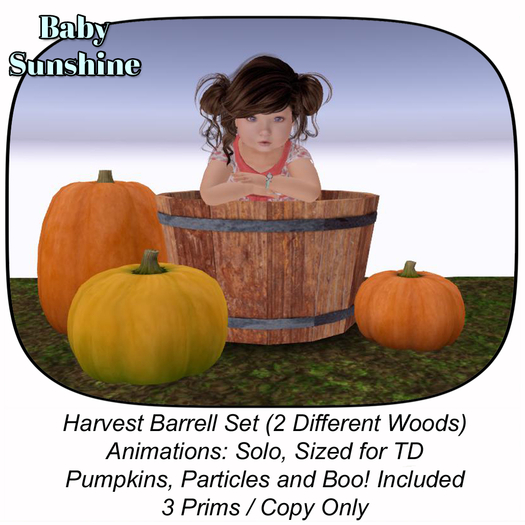 Baby Harvest Barrell Set (ADD)