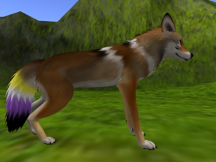 NM's Junk & Stuff Nonbinary Pride Markings Fox (BOXED)