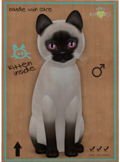 KittyCatS Box - Siamese - Seal