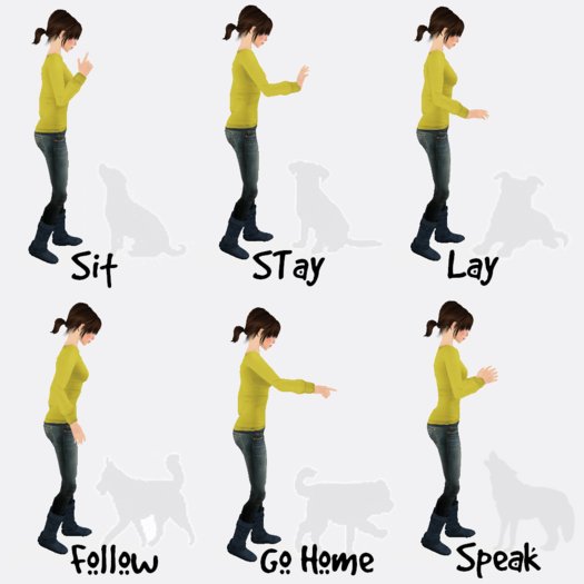 !E - Dog Command Gestures