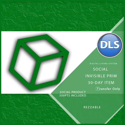DLS Social 30-Day Item - DLS Invis