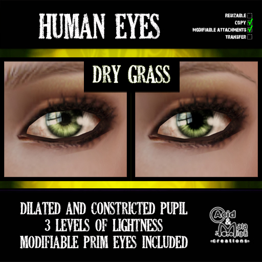 .:A&M:. Human Eyes - Dry Grass