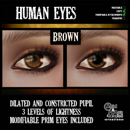 .:A&M:. Human Eyes - Brown