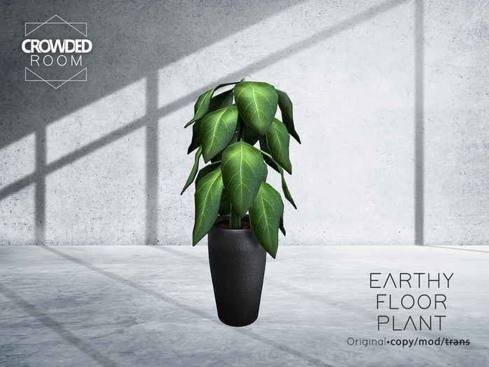 Crowded Room - Earthy Floor Plant 