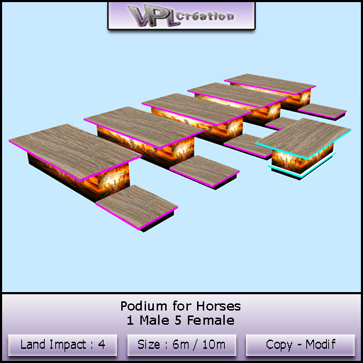 Podium 1M 5F