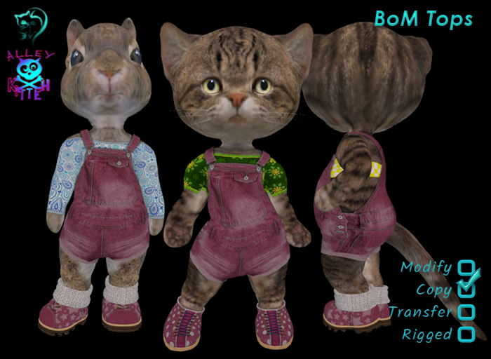 Dinkie Denim Dungaree set RED 2013-2021