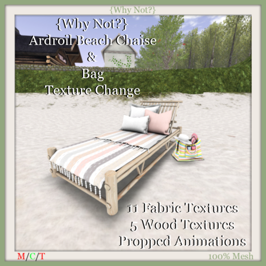 {Why Not?} Ardroil Beach Chaise & Bag-Boxed