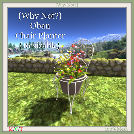 {Why Not?} Oban Chair Planter {Resizable}-Boxed